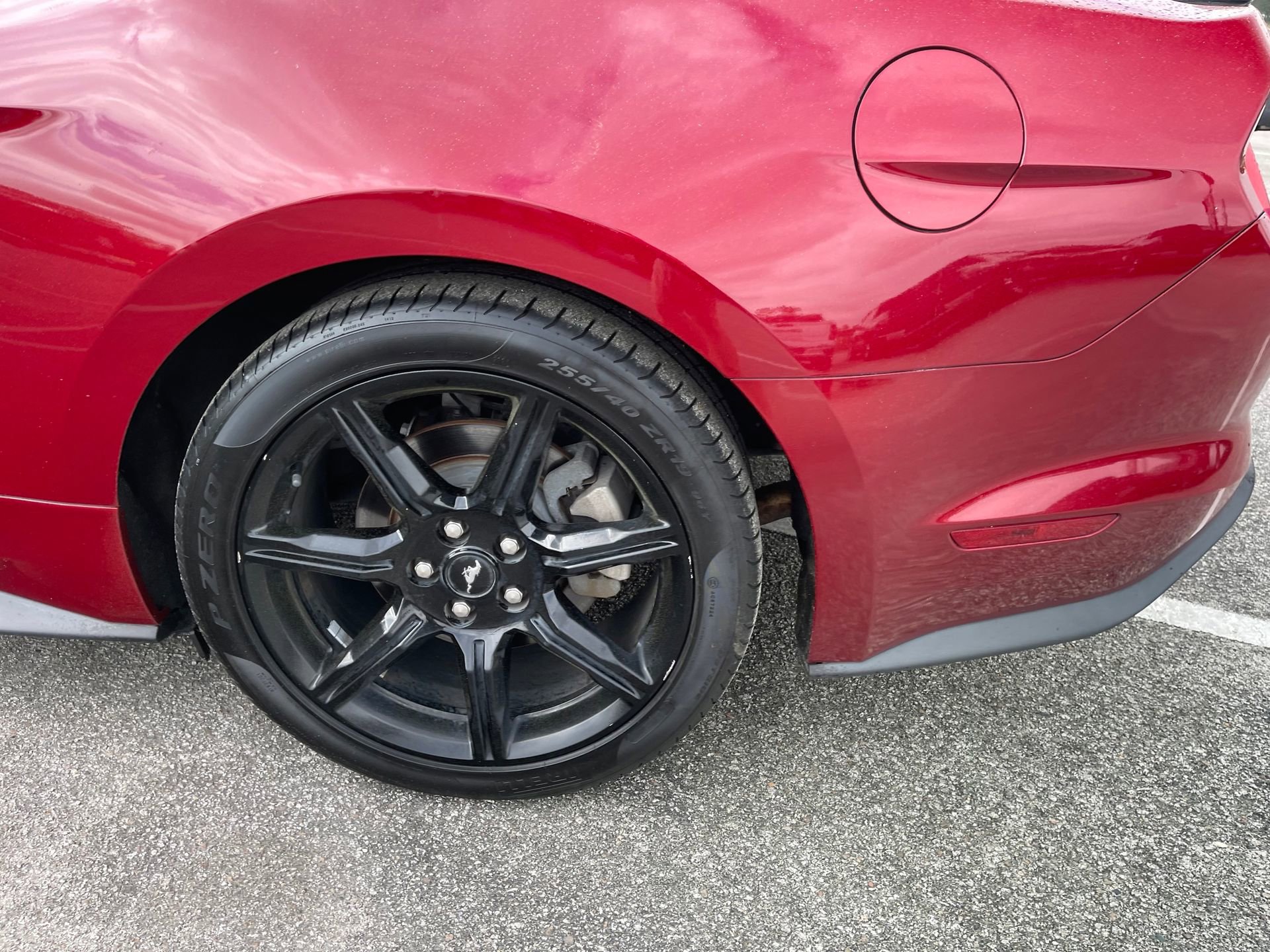 Used 2019 Ford Mustang EcoBoost w/ Black Accent Package image 9