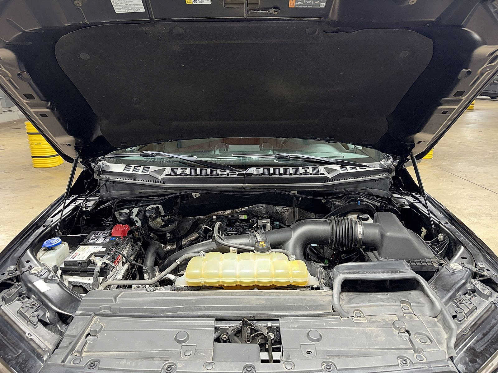 Used 2019 Ford F150 XLT w/ Equipment Group 302A Luxury AWD/4WD image 12