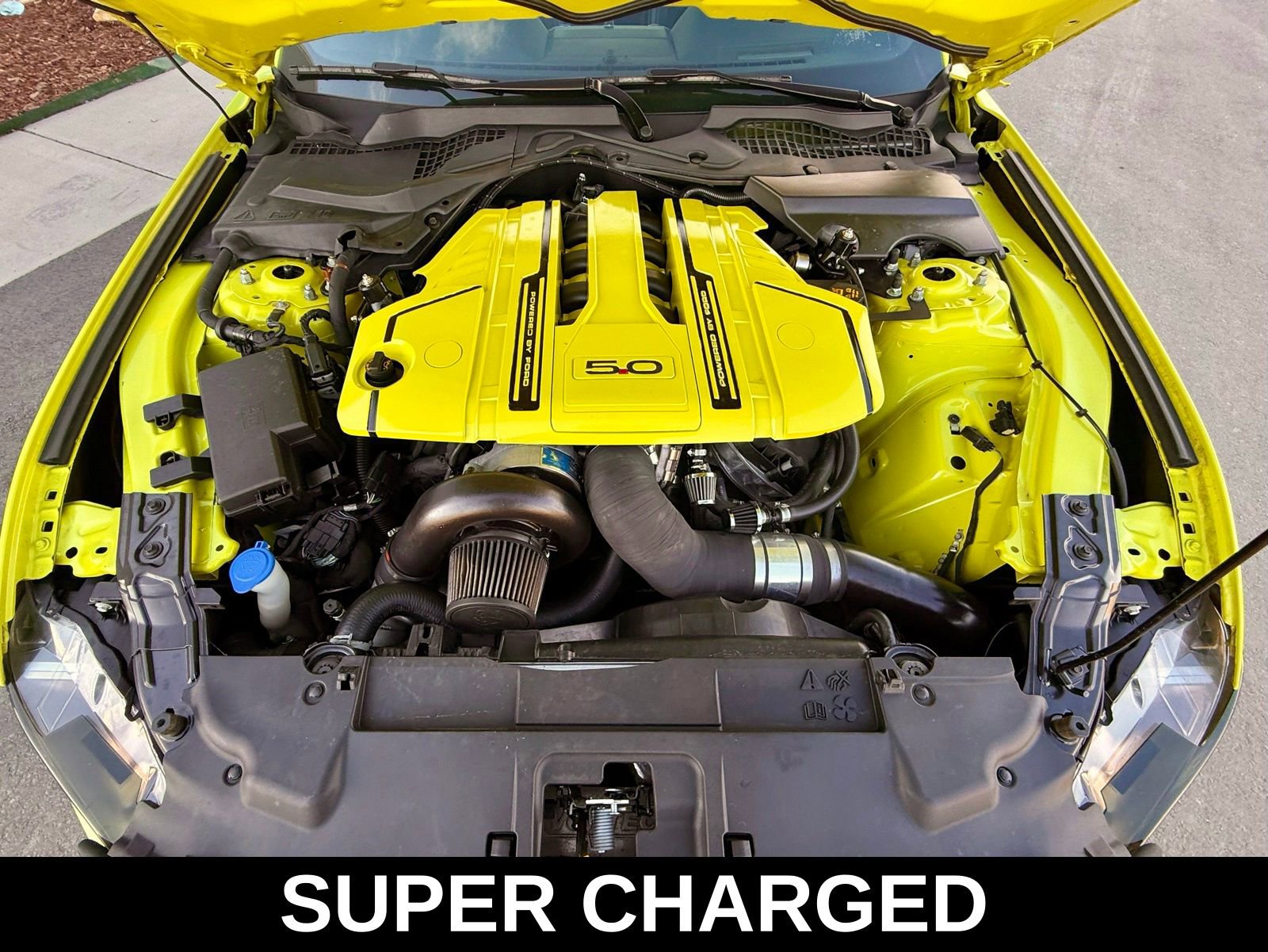 Used 2020 Ford Mustang GT Premium w/ Equipment Group 401A image 3