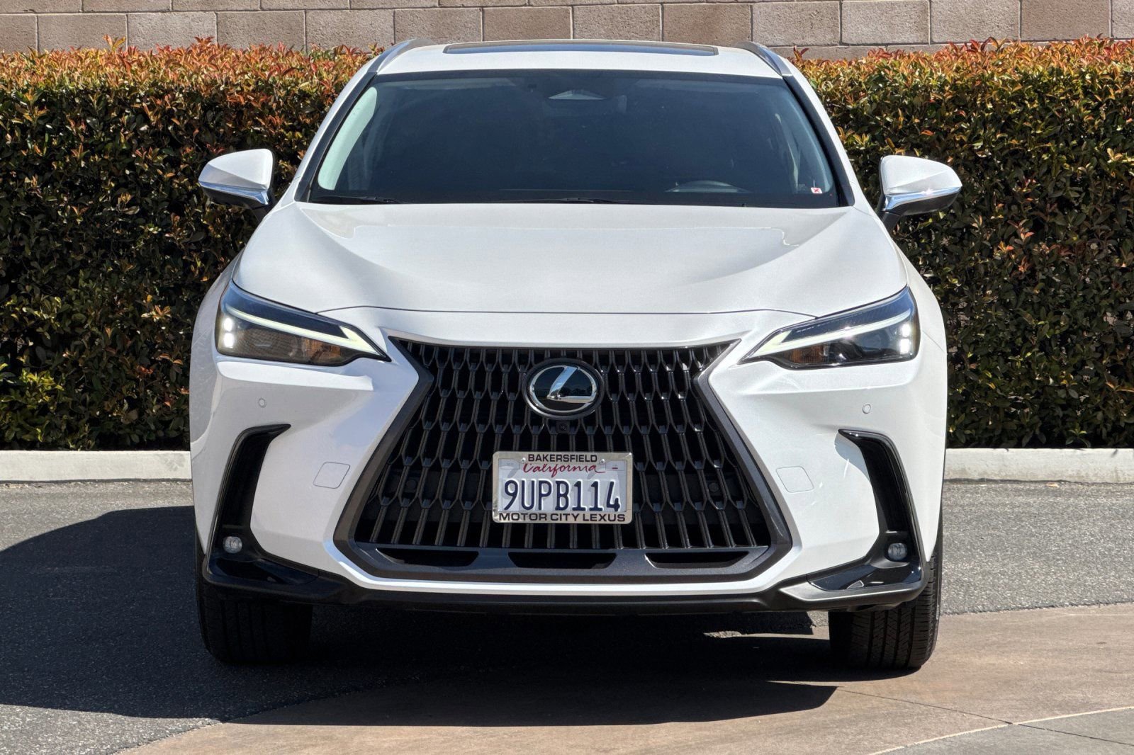Certified 2025 Lexus NX 350h AWD w/ Cold Area Package image 10
