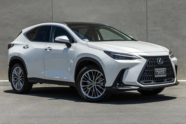 Used 2025 Lexus NX 350h AWD w/ Cold Area Package image 17