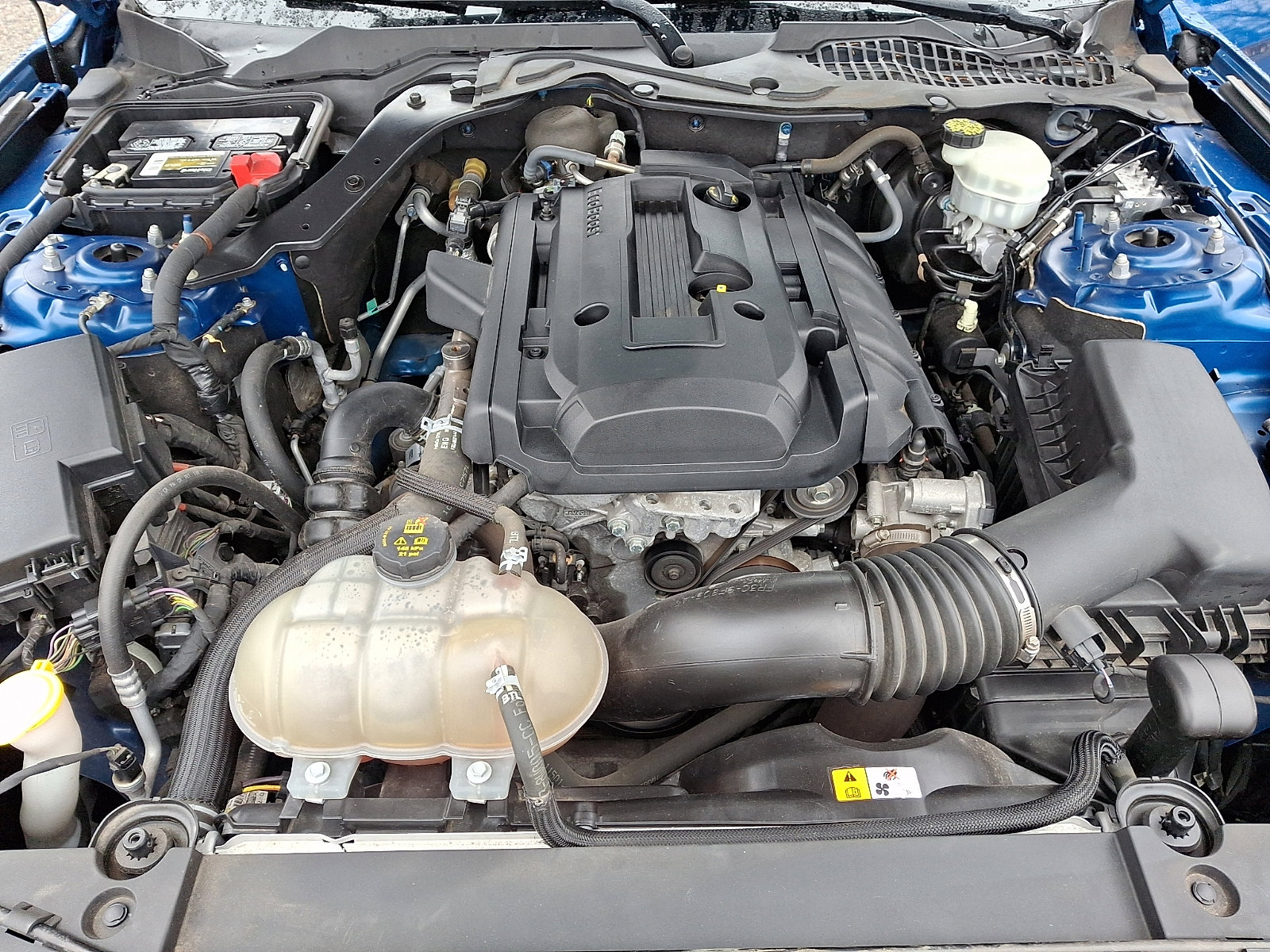 Used 2017 Ford Mustang Coupe RWD image 29