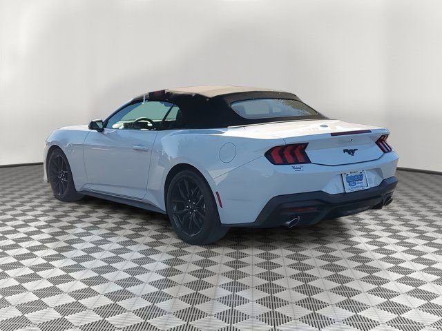 Used 2026 Ford Mustang EcoBoost w/ Mustang Nite Pony Package image 4