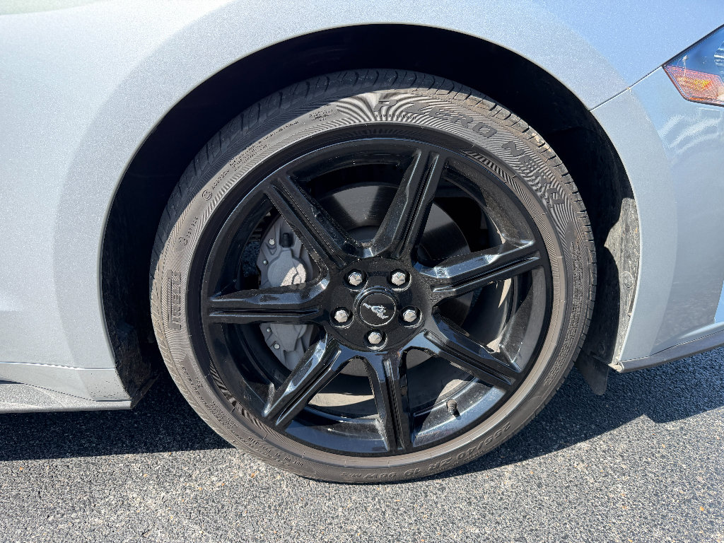 Used 2019 Ford Mustang GT Premium w/ Equipment Group 401A RWD image 20