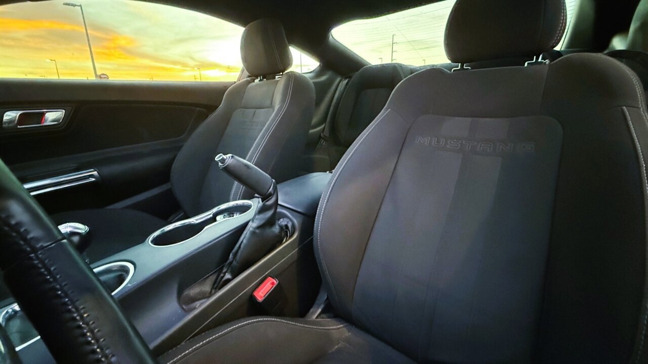 Used 2019 Ford Mustang GT w/ Equipment Group 301A RWD image 9