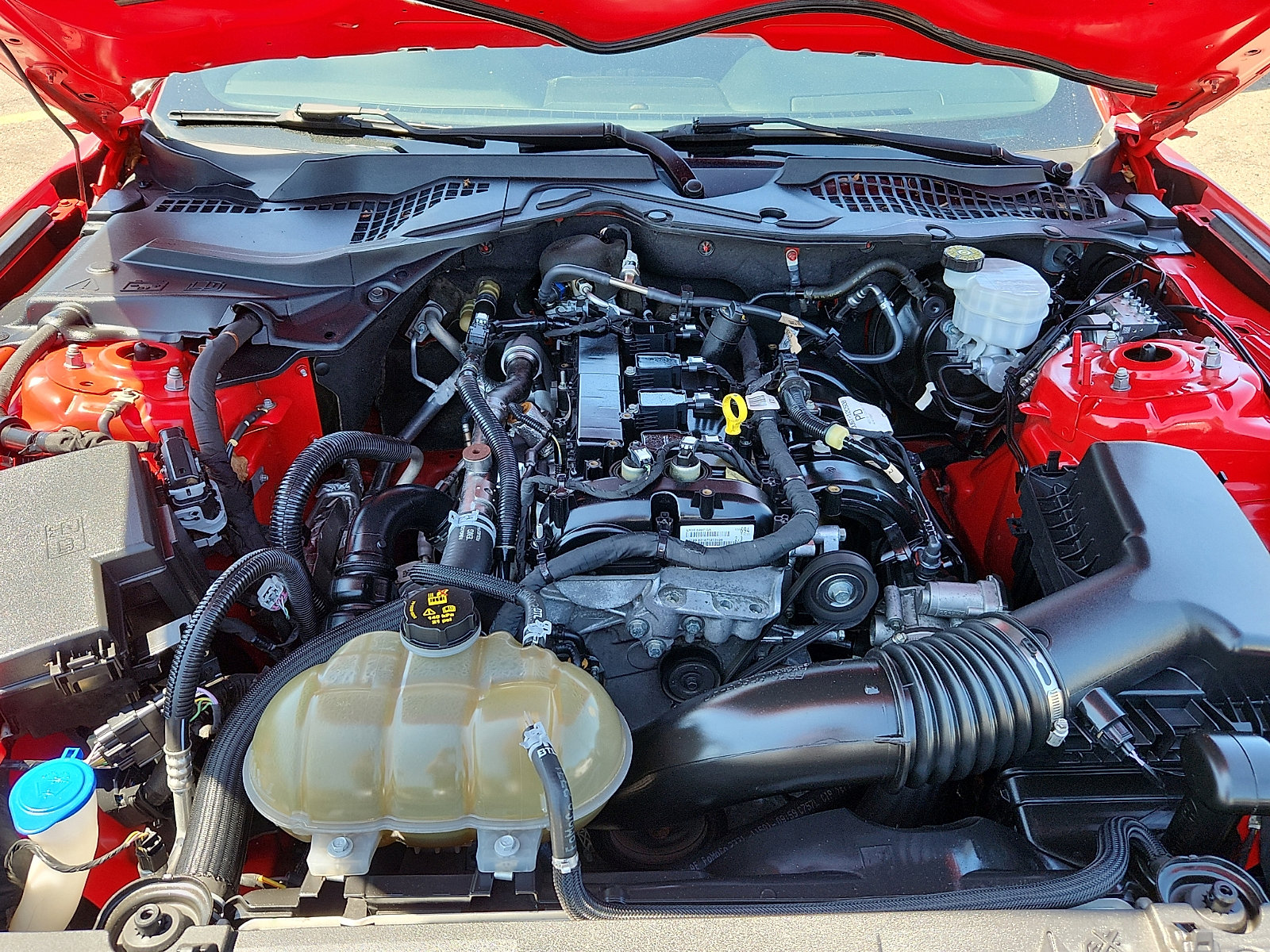 Used 2021 Ford Mustang Coupe w/ Equipment Group 101A RWD image 27