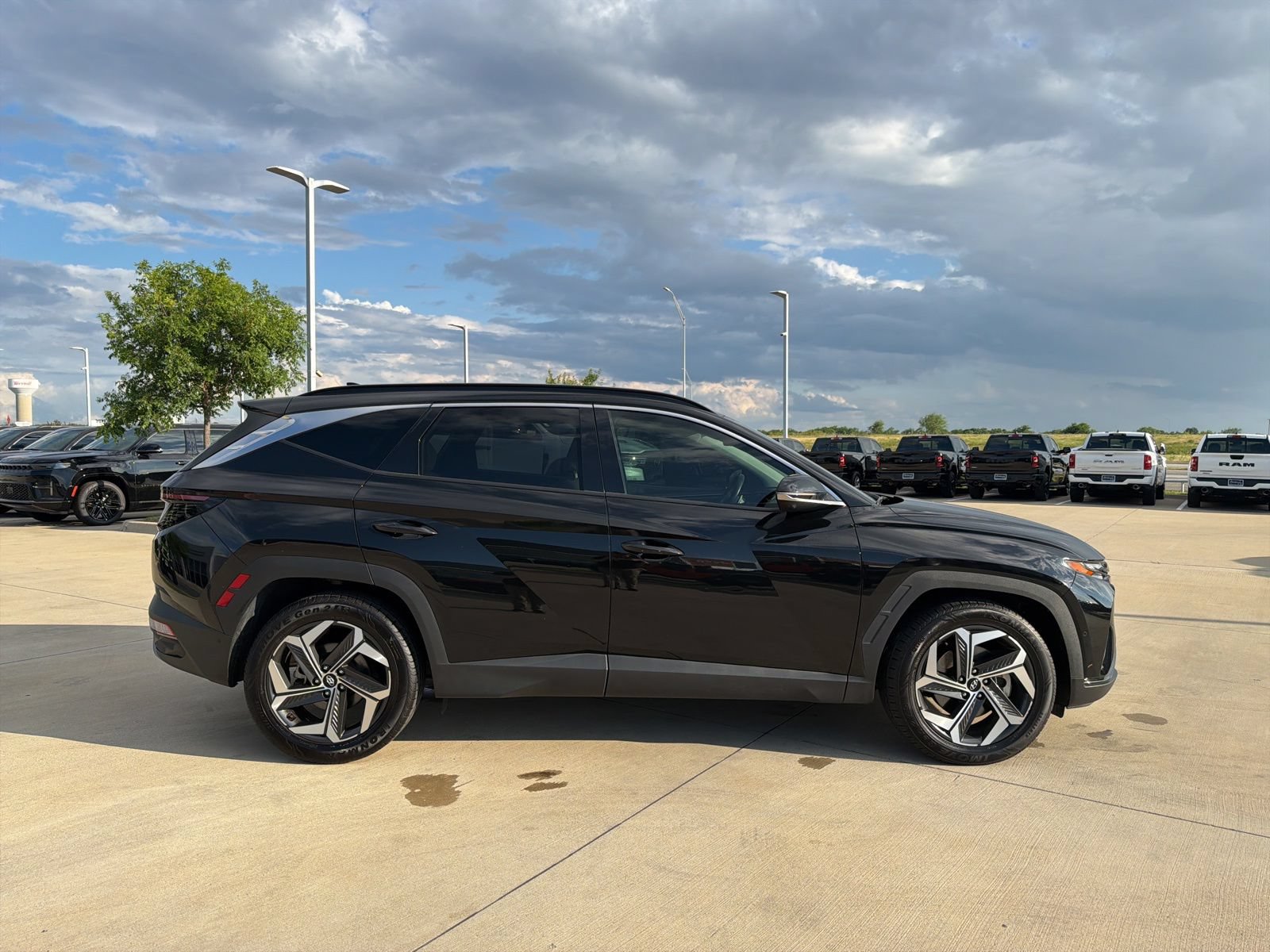 Used 2024 Hyundai Tucson Limited FWD image 6