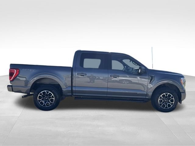 Used 2023 Ford F150 XLT w/ Equipment Group 302A High AWD/4WD image 17