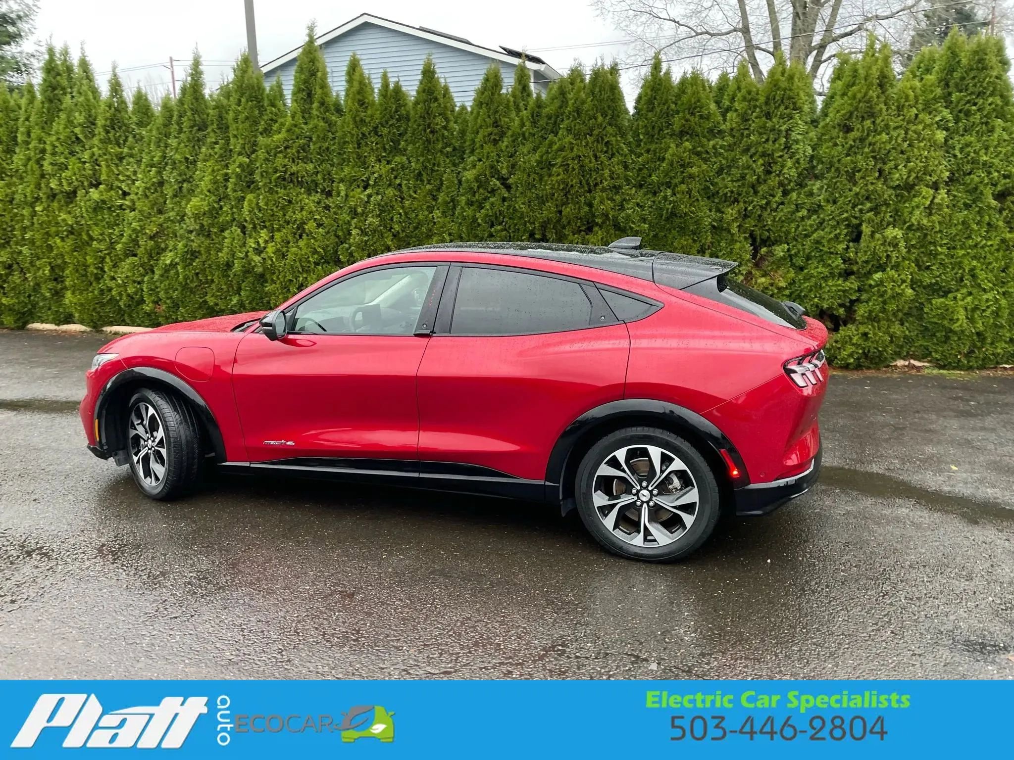 Used 2021 Ford Mustang Mach-E Premium image 7
