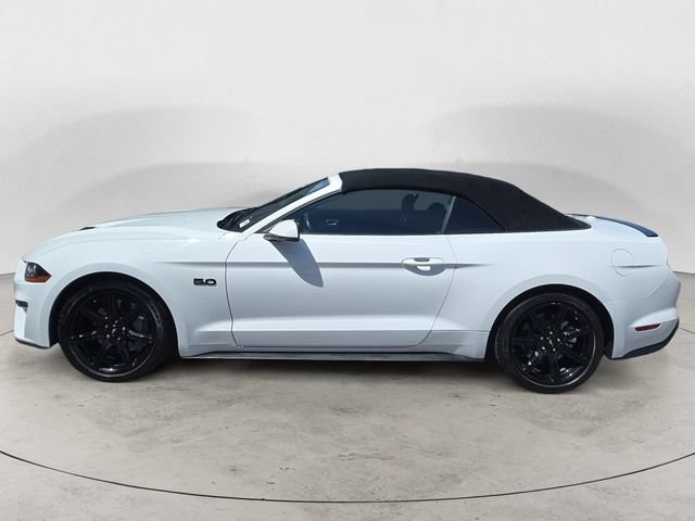 Used 2018 Ford Mustang GT Premium w/ Equipment Group 401A RWD image 2