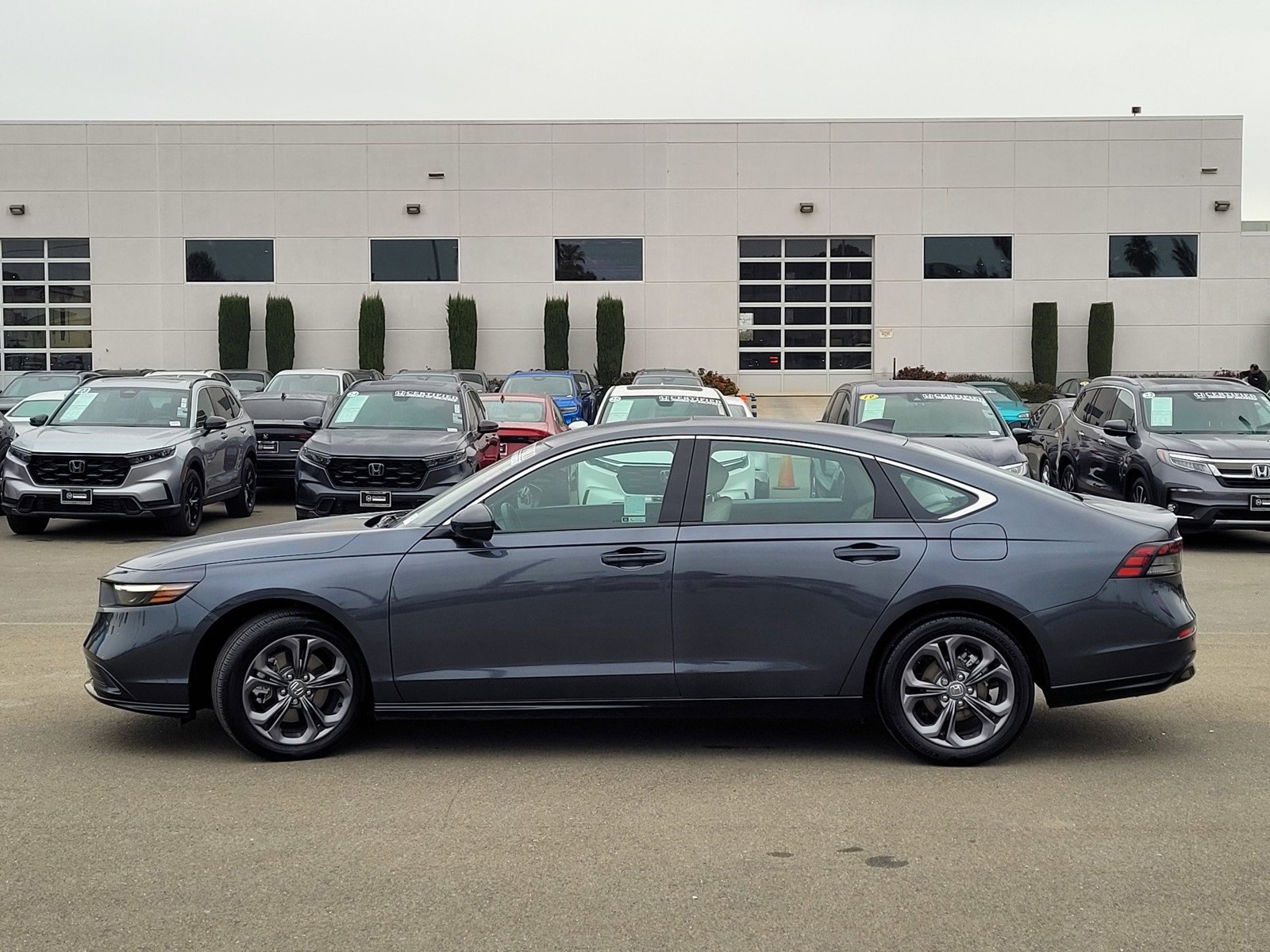 Certified 2025 Honda Accord EX-L image 8