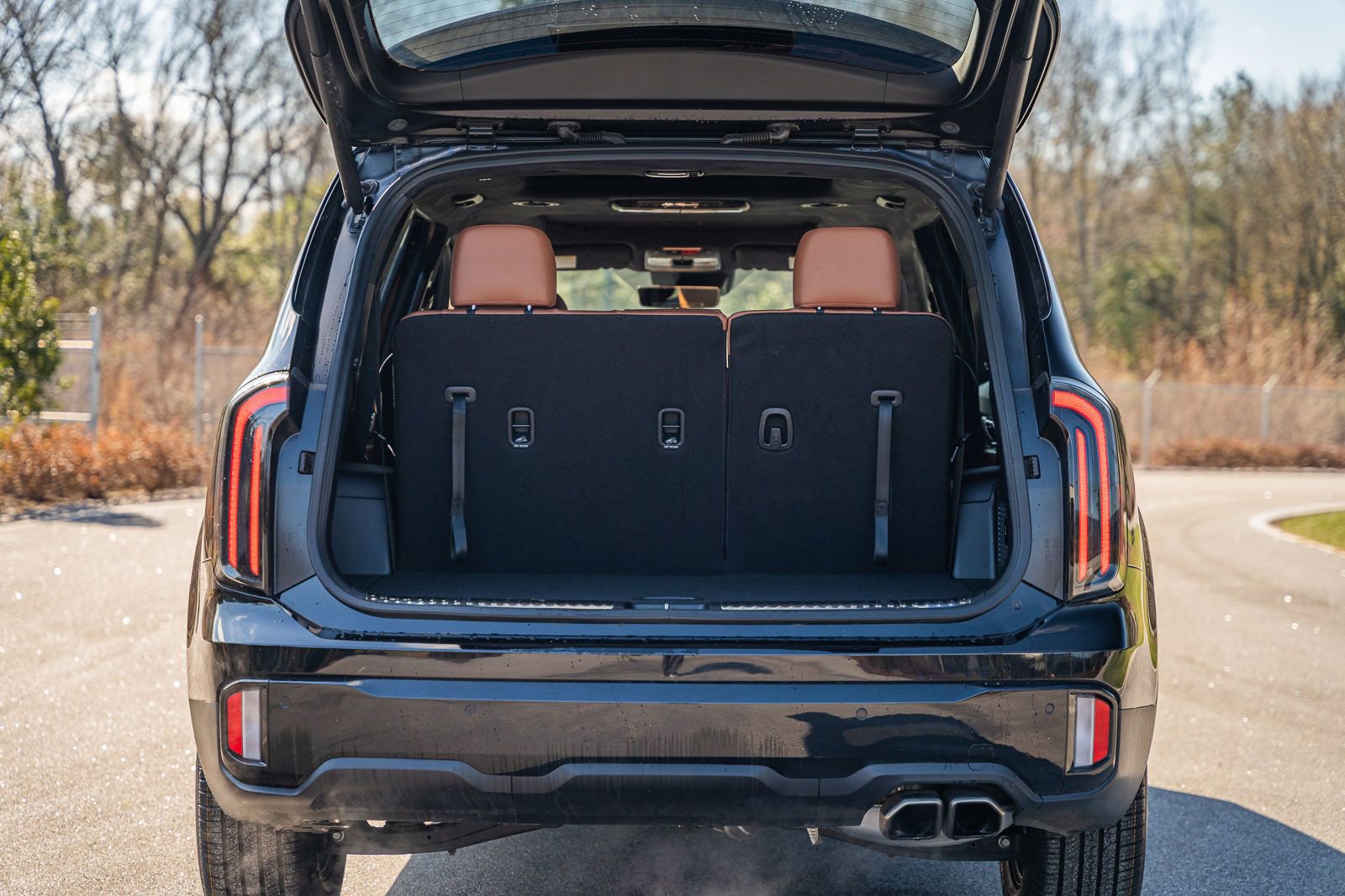 Used 2024 Kia Telluride SX Prestige X-Pro image 17