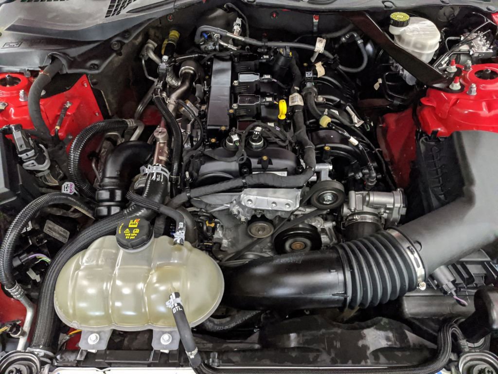 Certified 2023 Ford Mustang Premium image 20