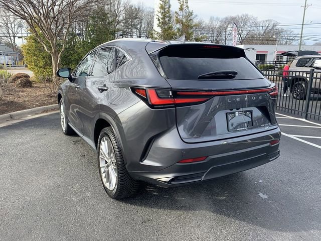 Used 2023 Lexus NX 350h AWD w/ Accessory Package (P3) image 6
