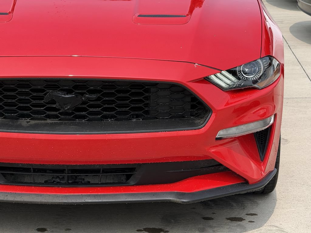 Used 2023 Ford Mustang Coupe w/ Equipment Group 101A RWD image 8
