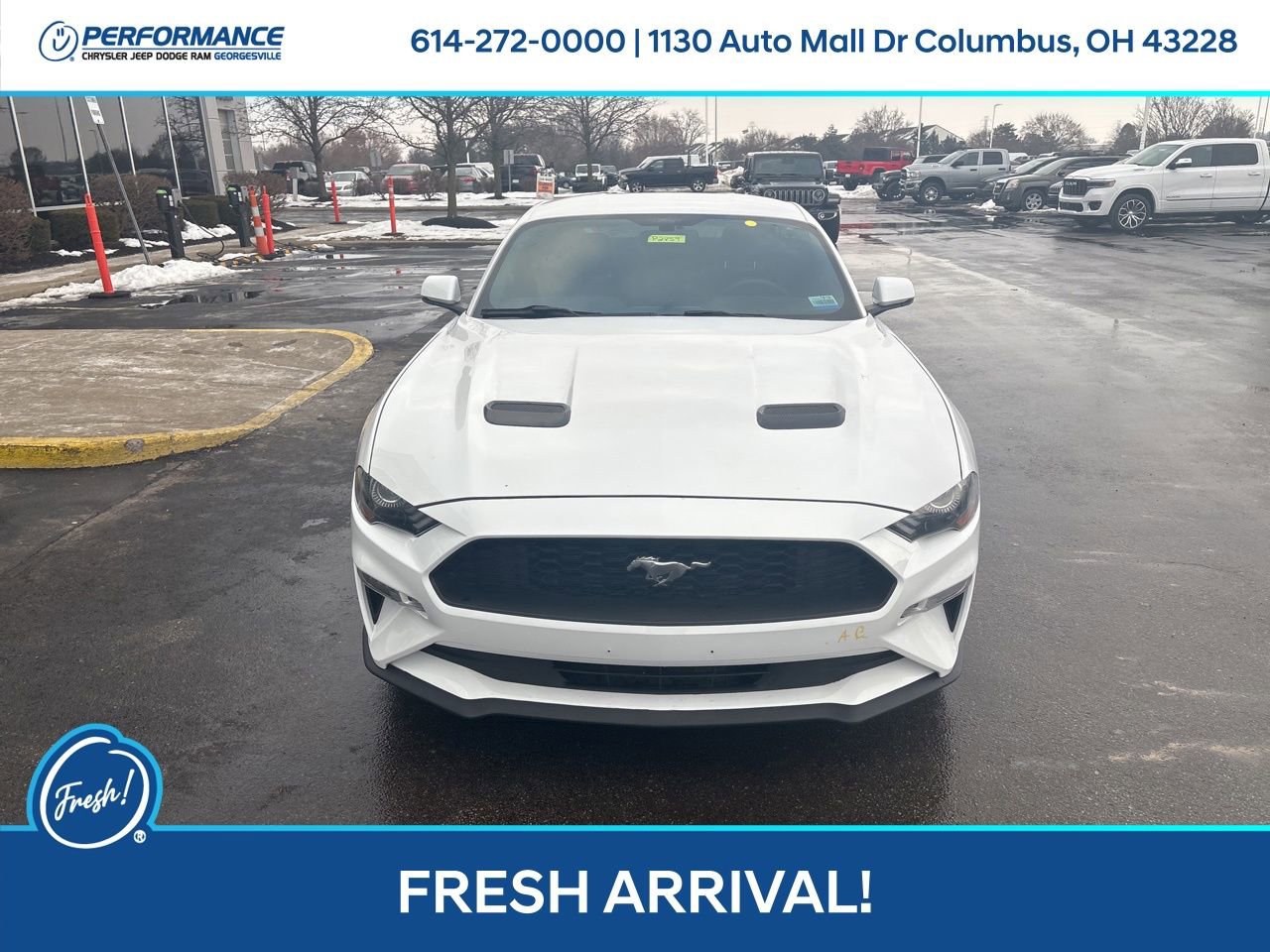 Used 2019 Ford Mustang Premium image 9