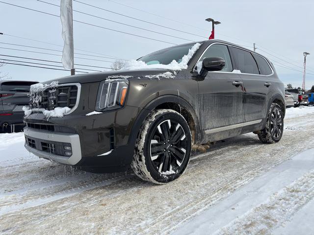 Certified 2023 Kia Telluride SX Prestige image 4