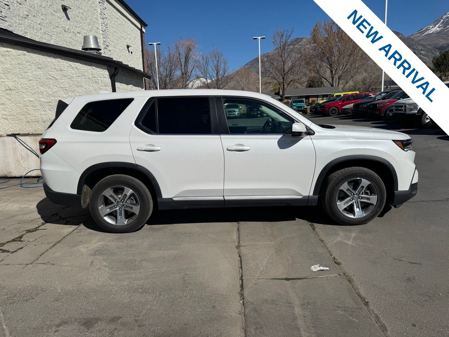 Used 2023 Honda Pilot EX-L image 8