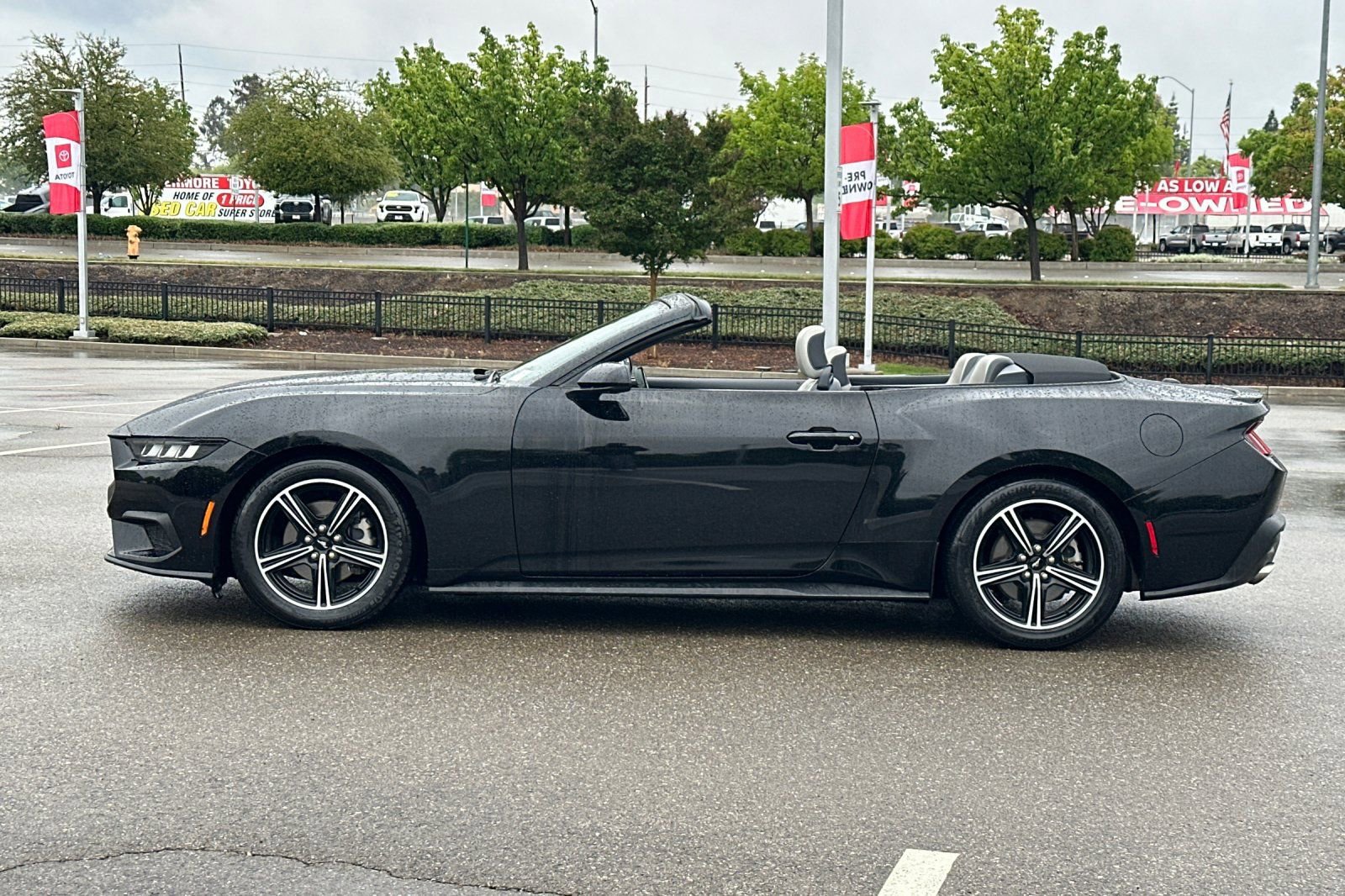 Used 2024 Ford Mustang Premium RWD image 7