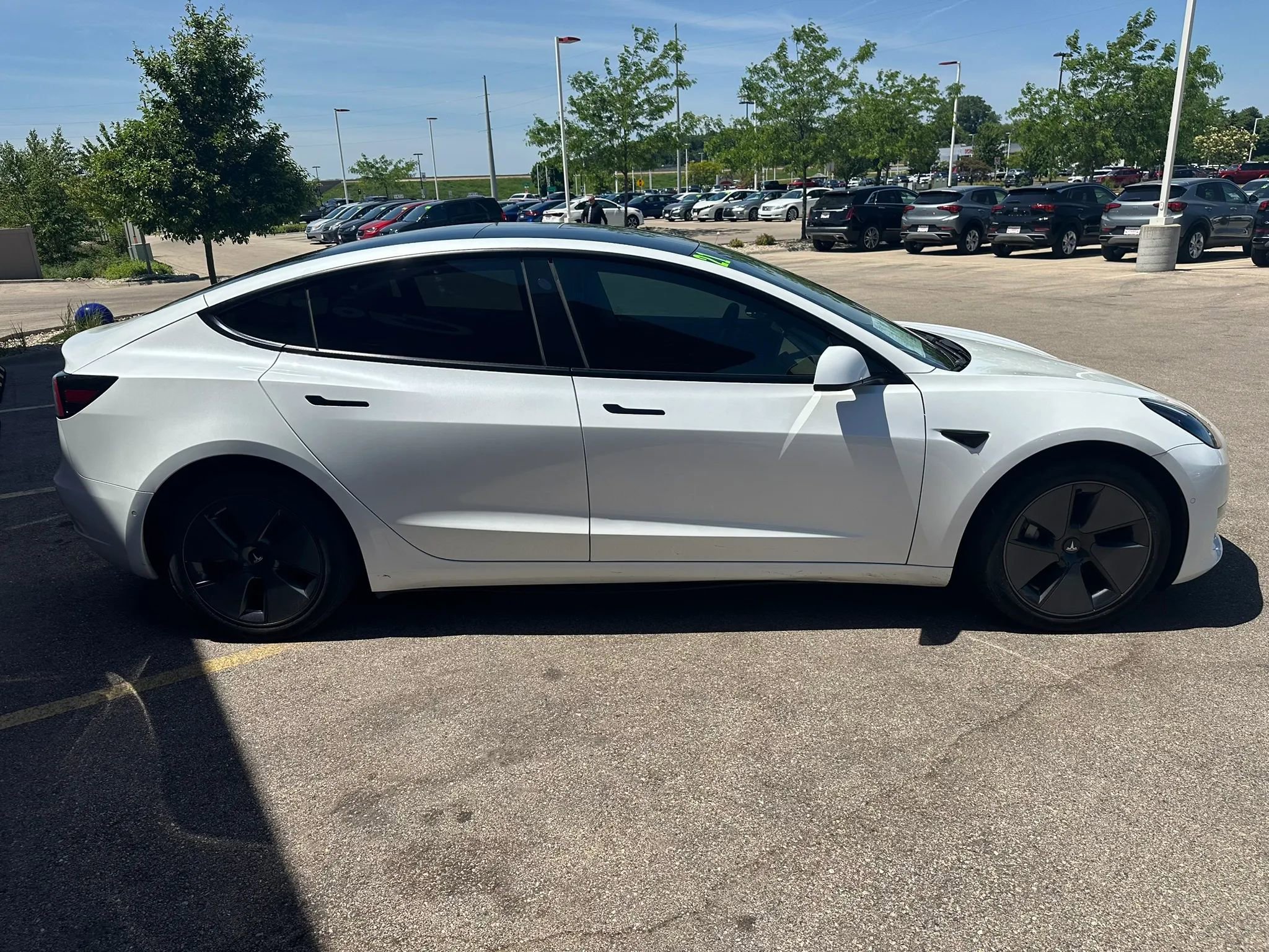 Used 2021 Tesla Model 3 Standard Range Plus RWD image 4