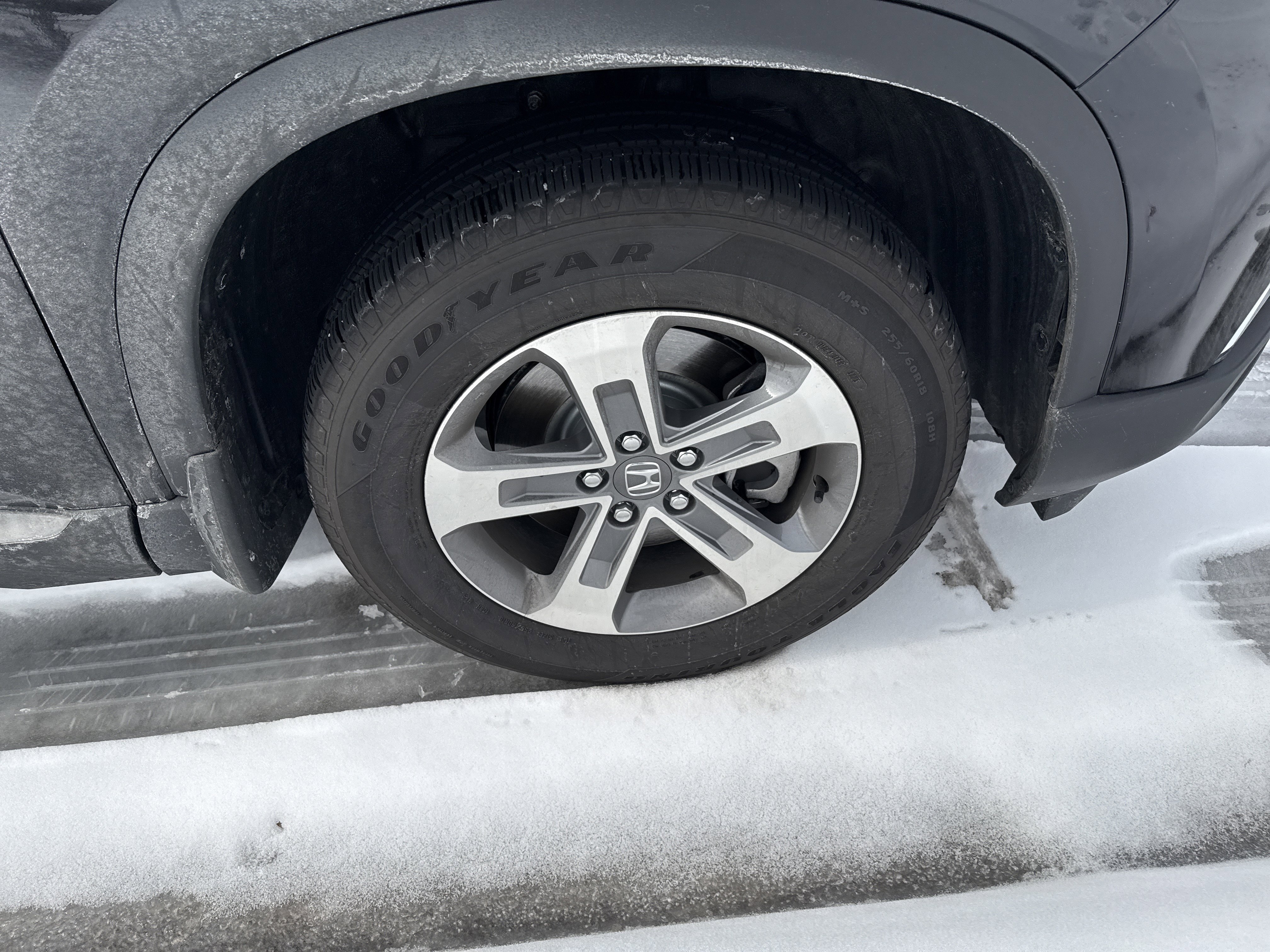 Used 2025 Honda Pilot EX-L image 12