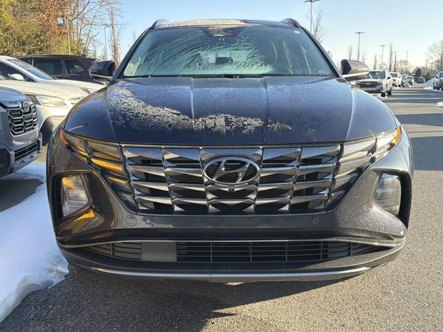 Used 2024 Hyundai Tucson Limited image 2