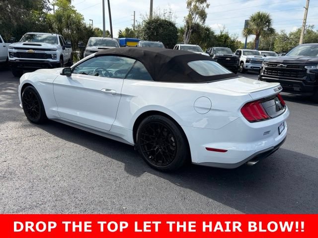 Used 2020 Ford Mustang Premium RWD image 4