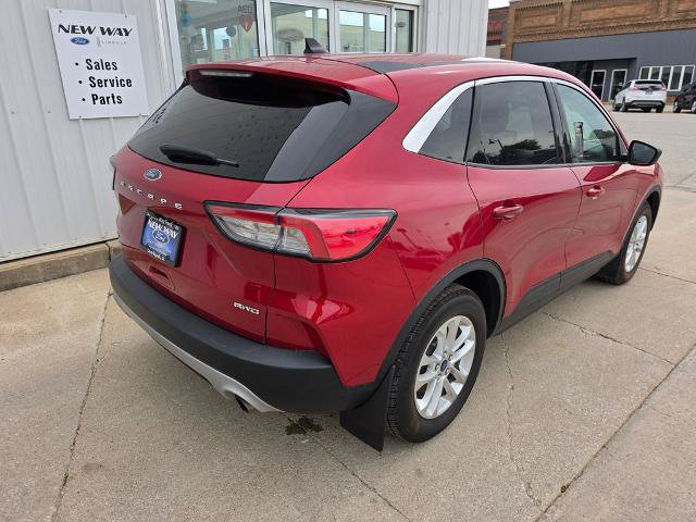 Certified 2022 Ford Escape SE w/ Cold Weather Package AWD/4WD image 8