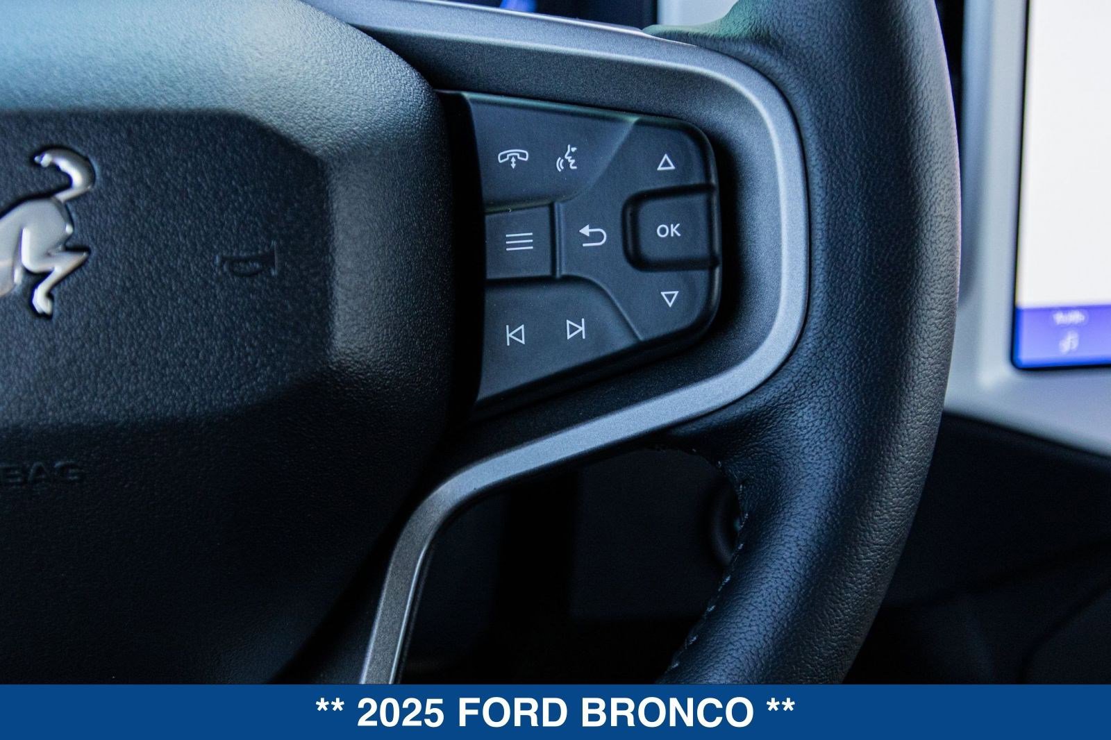 New 2025 Ford Bronco Stroppe Edition image 38