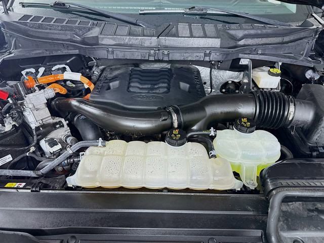 Used 2023 Ford F150 XLT w/ Equipment Group 302A High image 30