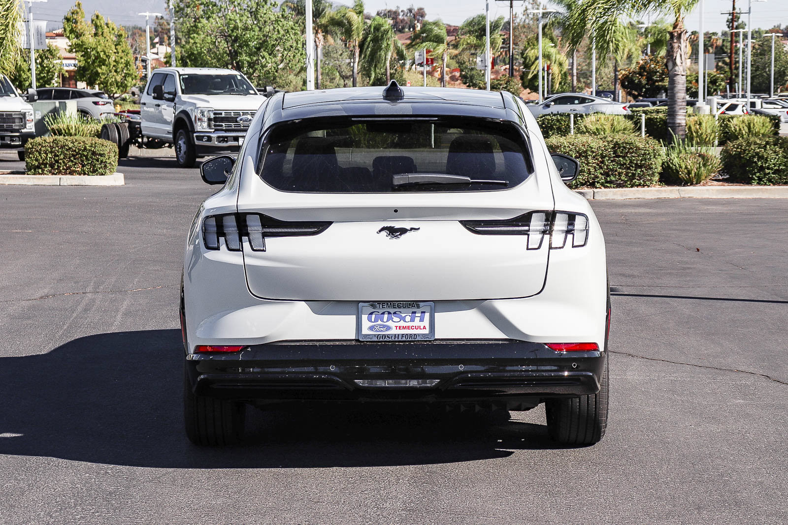 New 2026 Ford Mustang Mach-E Premium w/ Sport Appearance Package RWD image 6
