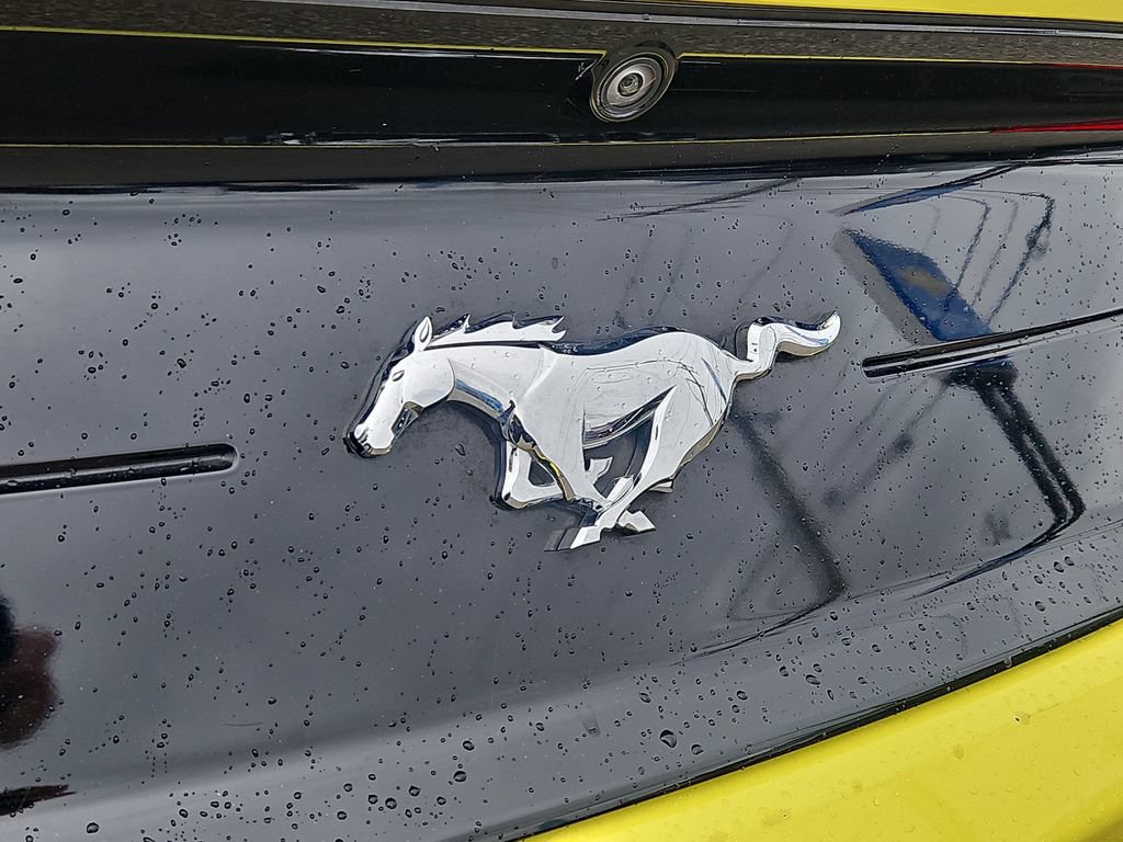 Used 2021 Ford Mustang Premium RWD image 12