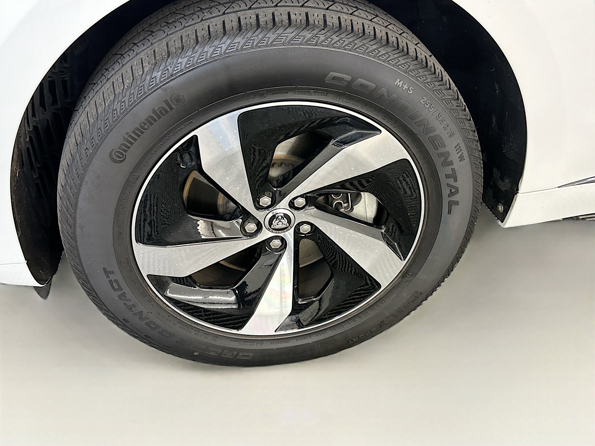 Used 2024 Jaguar F-PACE R-Dynamic S image 11