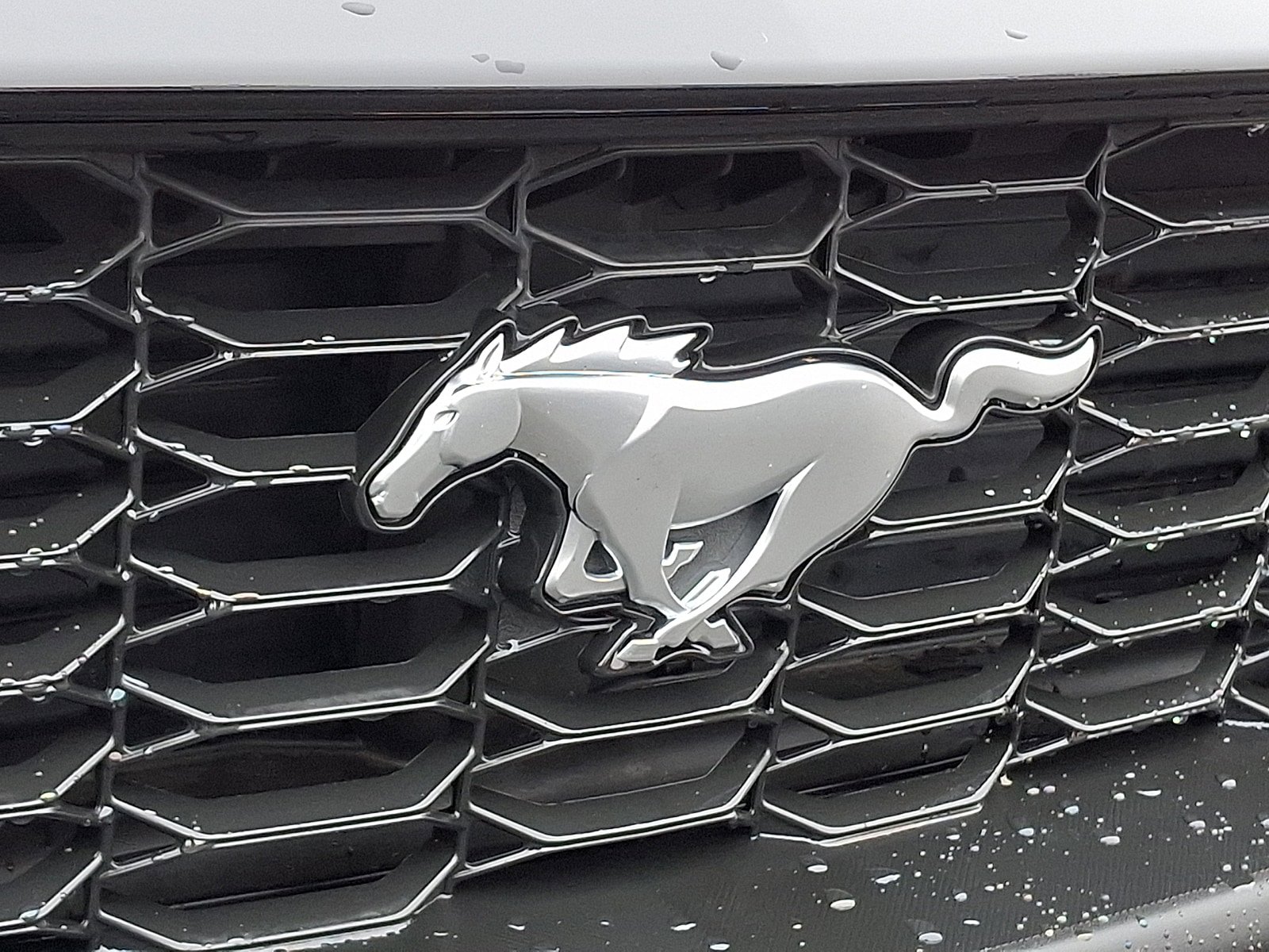 Certified 2024 Ford Mustang Premium RWD image 30