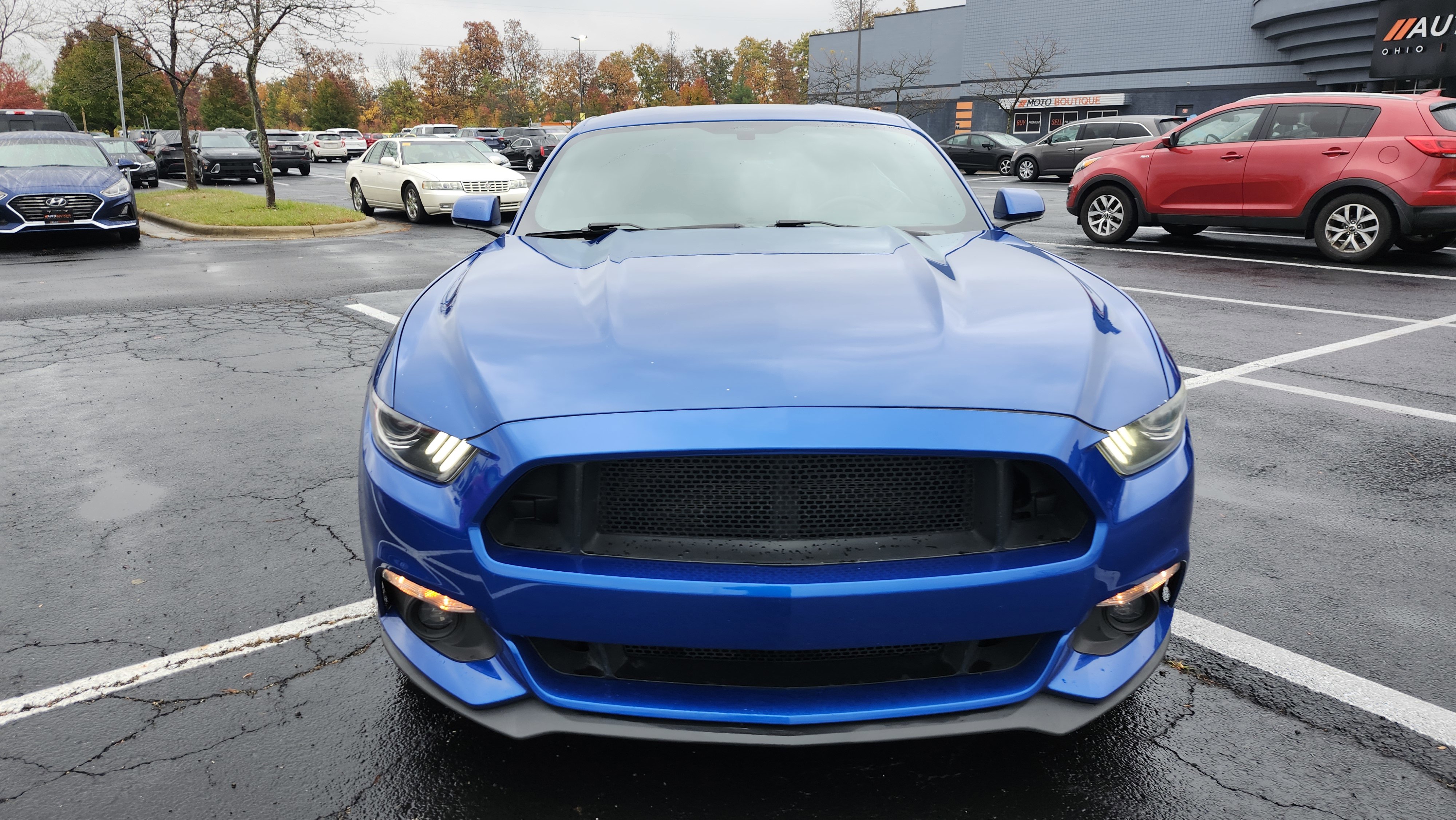 Used 2017 Ford Mustang Coupe w/ Ecoboost Performance Package image 3