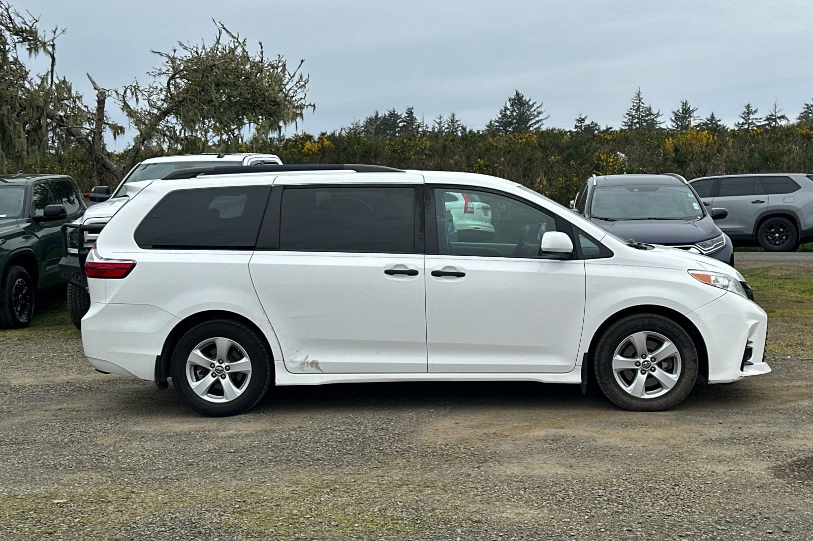 Used 2019 Toyota Sienna L FWD image 4