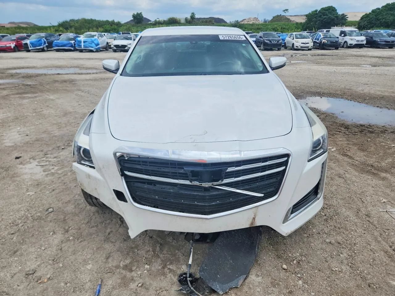Used 2019 Cadillac CTS Sedan RWD image 5