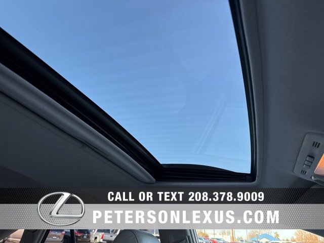 Used 2009 Lexus RX 350 2WD image 13