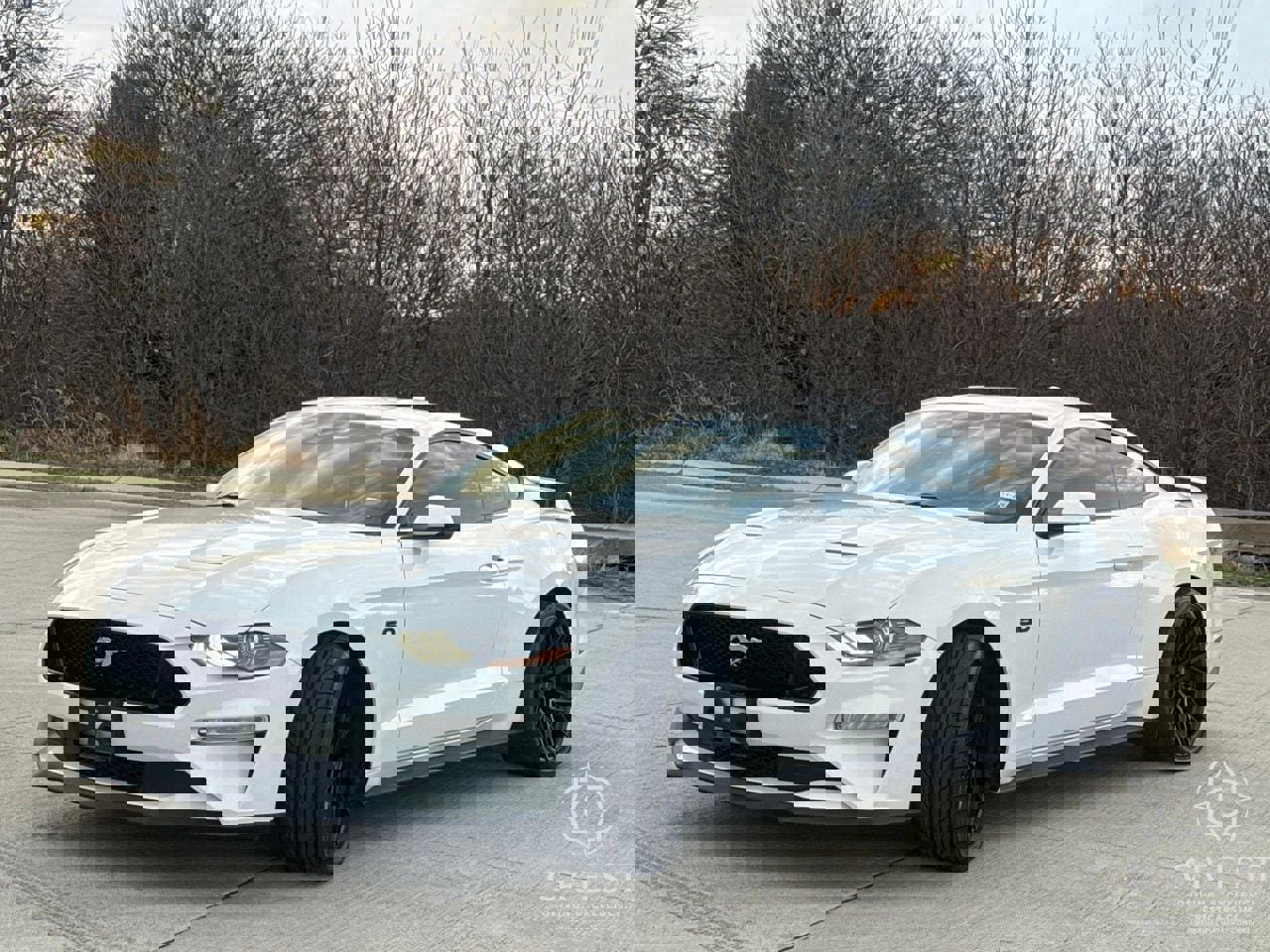 Used 2021 Ford Mustang GT Premium w/ GT Performance Package image 7