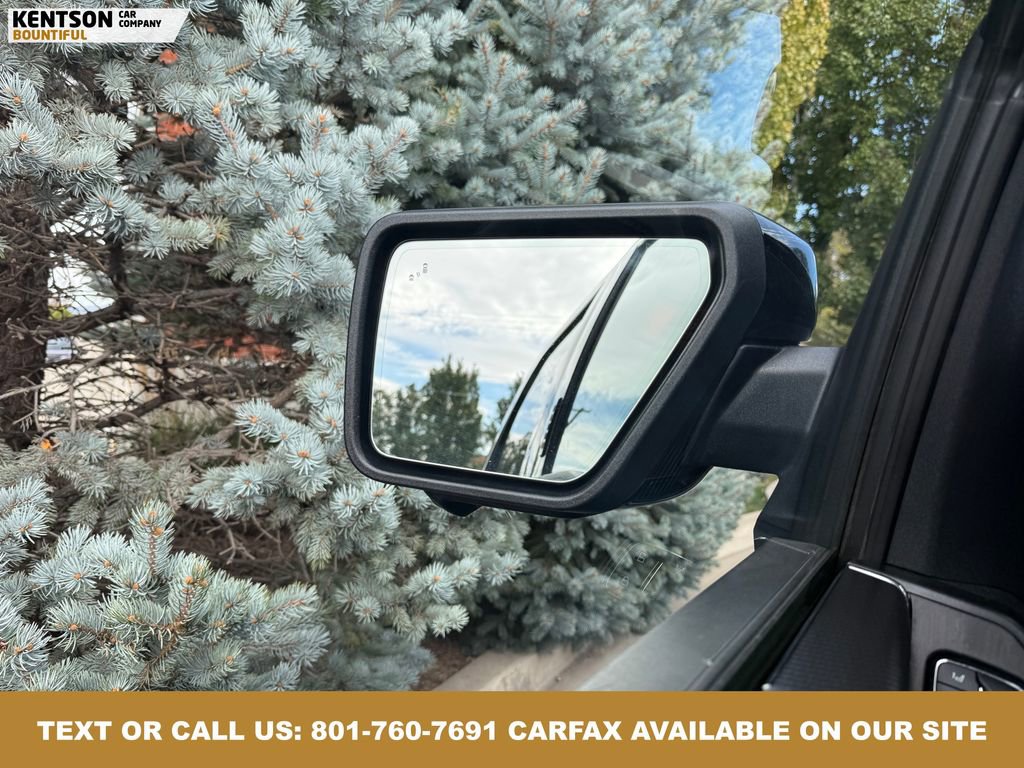 Used 2024 Ford F150 Raptor image 24