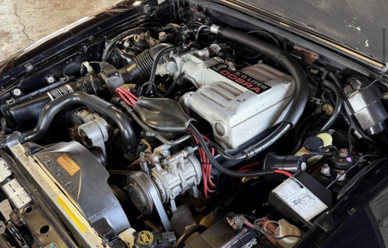 Used 1993 Ford Mustang Cobra image 5