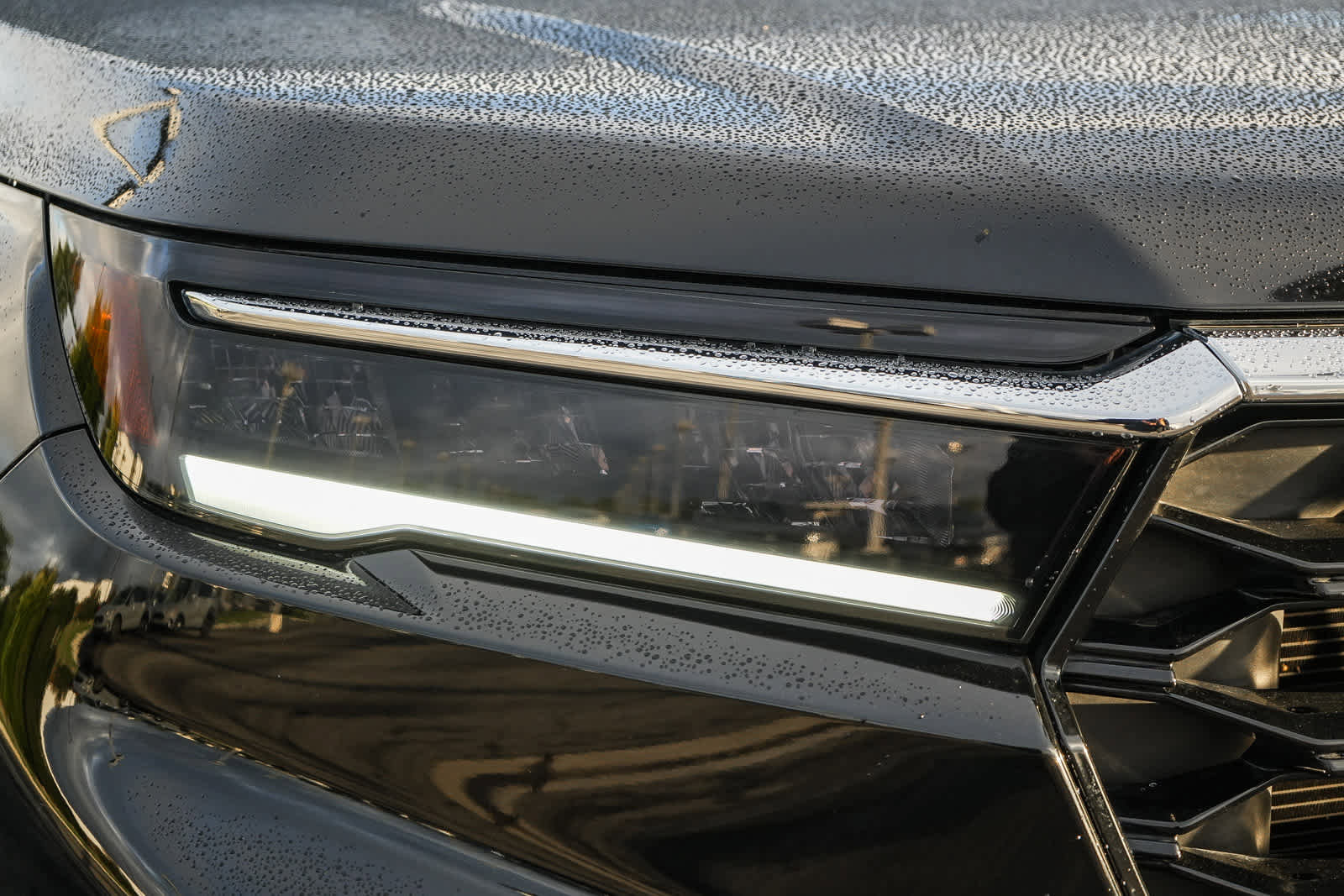 Used 2025 Honda Pilot Elite image 4