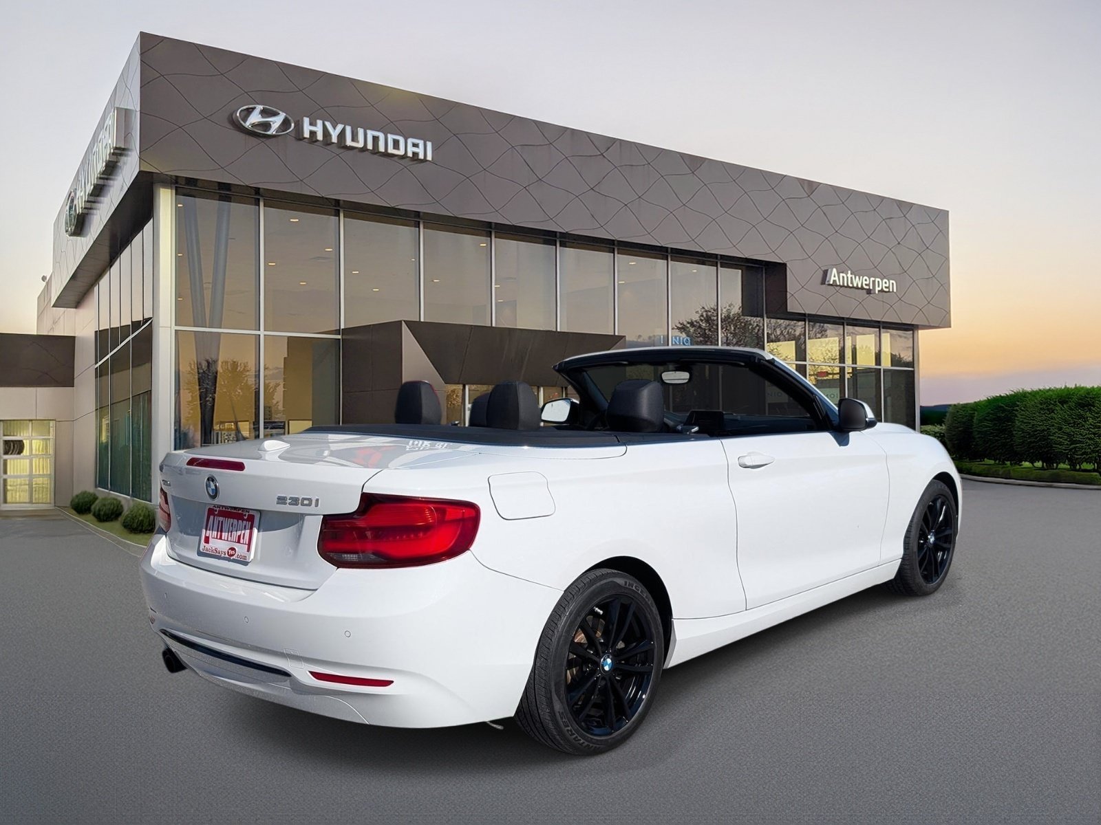 Used 2019 BMW 230i xDrive Convertible w/ Convenience Package AWD/4WD image 5