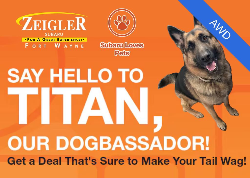 Used 2019 Kia Sorento LX image 11