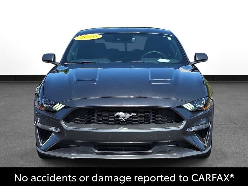 Used 2019 Ford Mustang Premium w/ Ford Safe & Smart Package RWD image 2