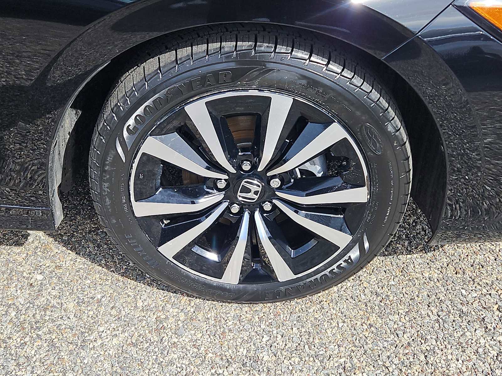 Certified 2024 Honda Civic EX image 10