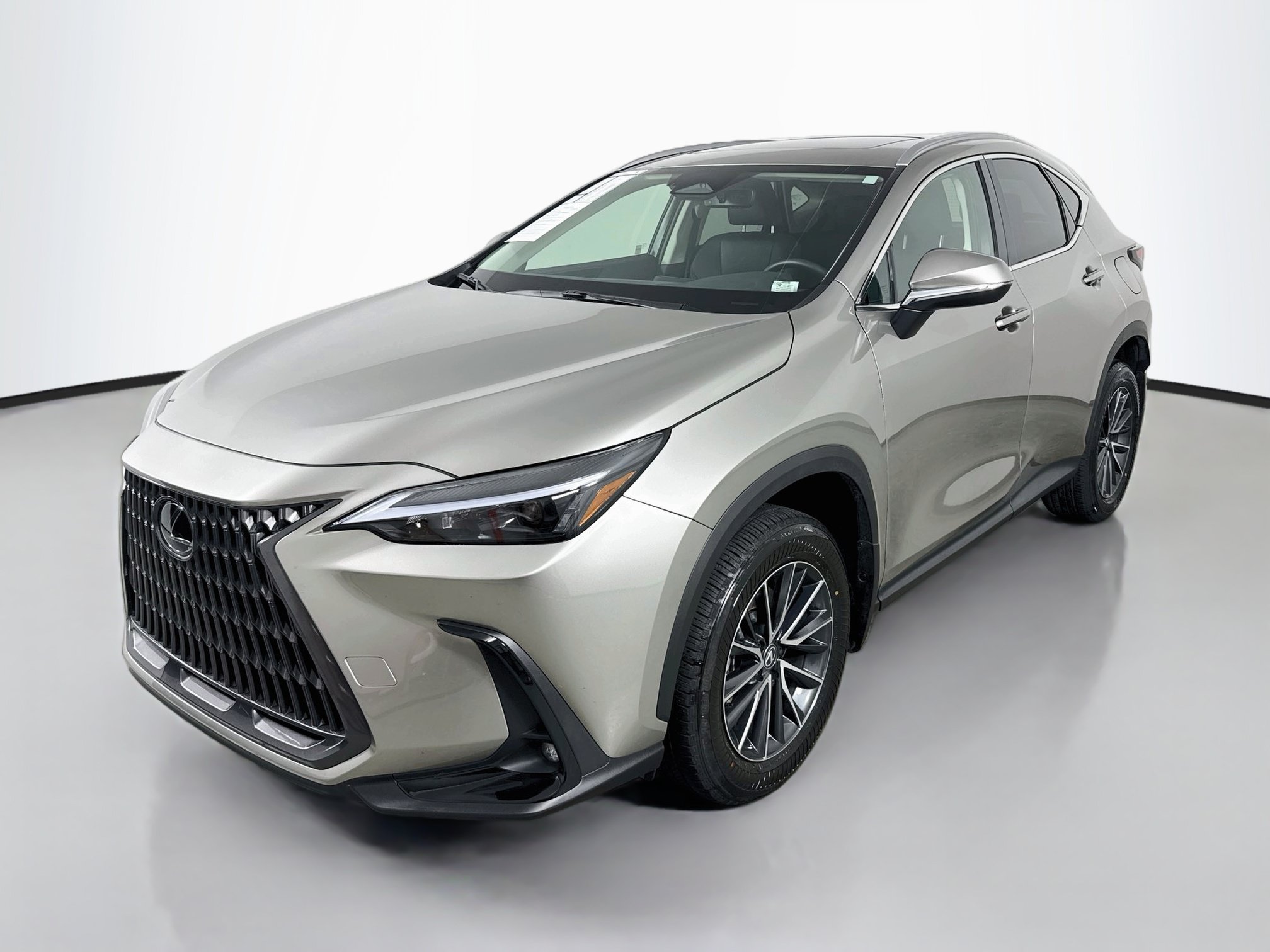 Certified 2024 Lexus NX 350h AWD w/ Cold Area Package image 3