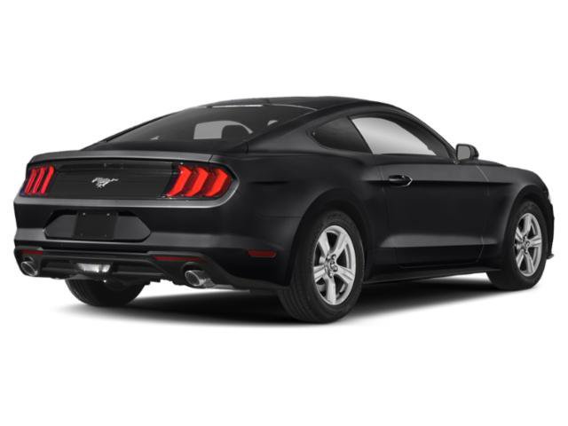 Used 2019 Ford Mustang Premium w/ Black Accent Package RWD image 2