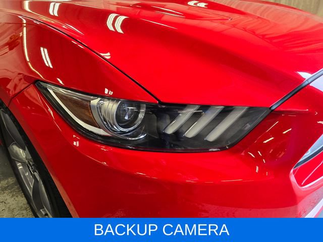 Used 2016 Ford Mustang GT Premium w/ Equipment Group 401A RWD image 5