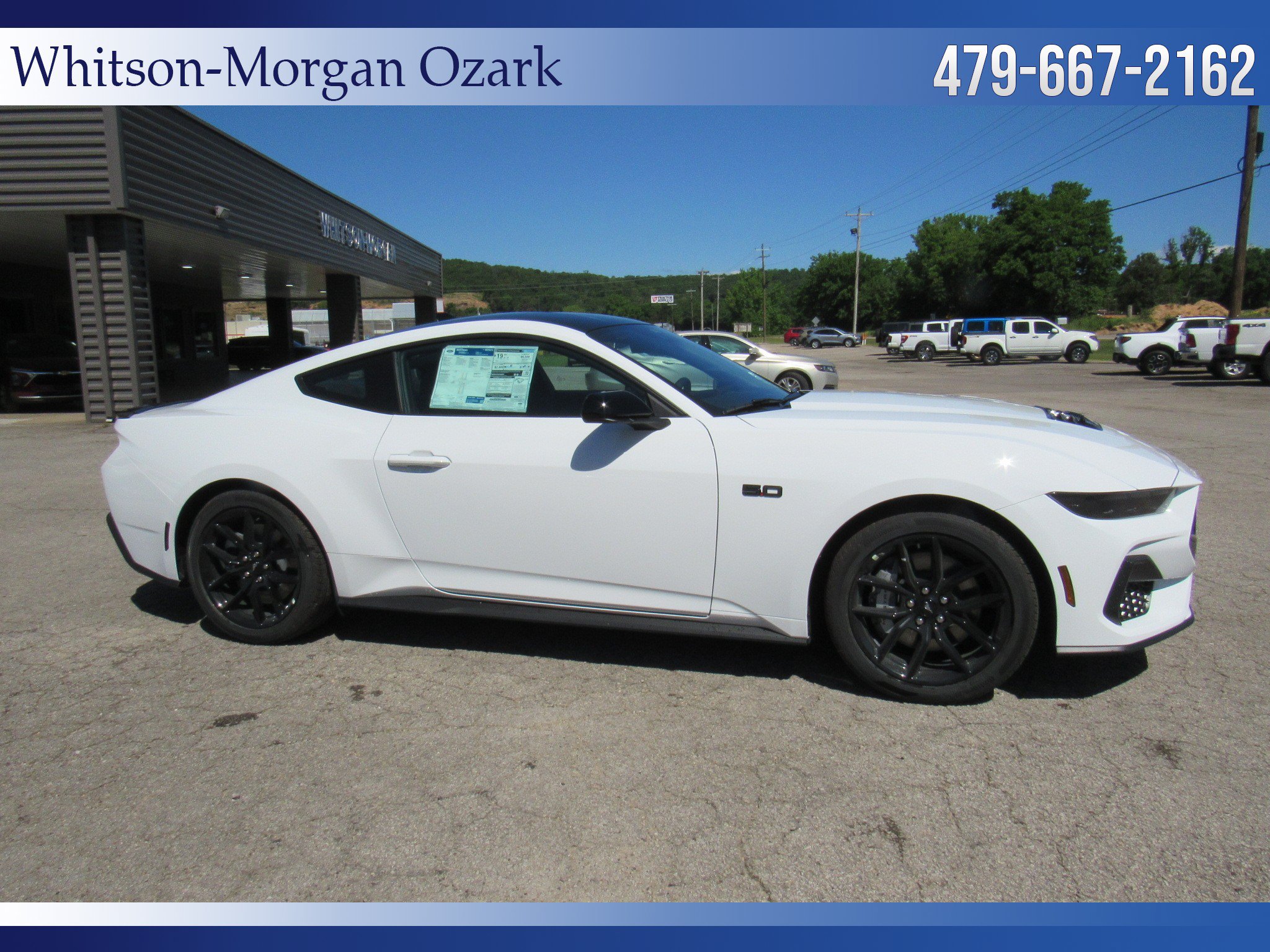 New 2026 Ford Mustang GT w/ Mustang Nite Pony Package RWD image 19